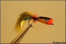 pike popper.jpg