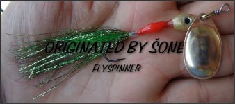 fLYsPINNEROR.jpg