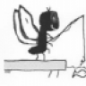 skyfly