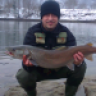 demijan014